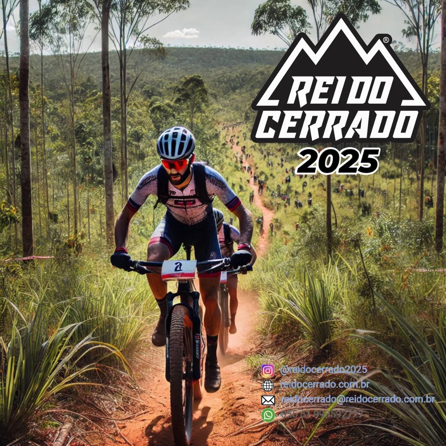 Rei do Cerrado 2025